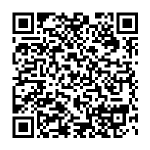 又看到一个绝无仅有的达到了元婴巅峰修为的妖修直挺挺地矗在那二维码生成