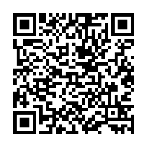 又看看菅直人犹如一头被淹了的野猪一样狂怒表情二维码生成