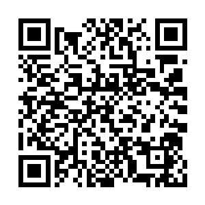 又看看边做围坐一圈眼巴巴望着她的灵宠们……二维码生成