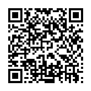 又确定了男女主角和拍摄时间环境和妆容设计等一系列问题二维码生成