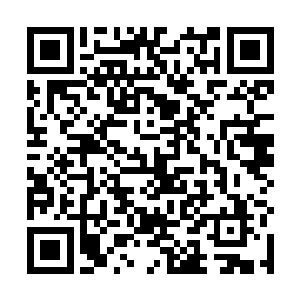 又纷纷从腰间的小袋子中拿出一颗光滑的小石子放上去二维码生成