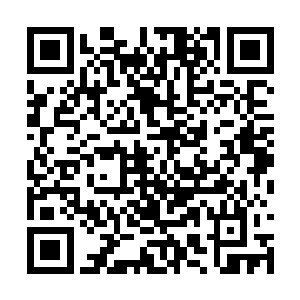 又给萧双一个娱乐圈巨星的身份作为其杀手的掩饰二维码生成