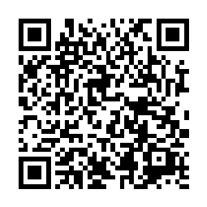 又给许多观看直播的单身狗造成了一定的真实伤害……二维码生成
