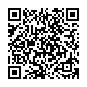 又给这个本来就很让人有点应接不暇的时代注入了一点新东西二维码生成