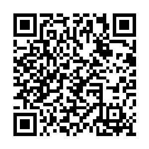 又被各大新闻媒体视作灰姑娘成功的一经典例子二维码生成