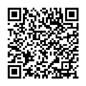 又被柳条轻微的抽到着水纹给折射到那棺材之上二维码生成