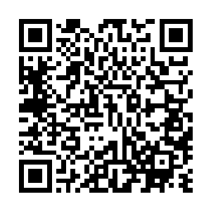 又被那圆润大宝石里面的巨大模糊轮廓吸引了注意力的众宠二维码生成