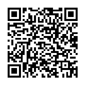 又要面临屠血府这样比邪龙殿更恐怖许多倍的存在二维码生成
