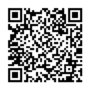 又见你们这里气候和土质还算适合栽种这种优质水稻二维码生成