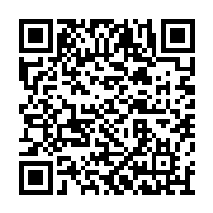 又见赵明叫过来的是两个老实巴交的年轻小伙子二维码生成
