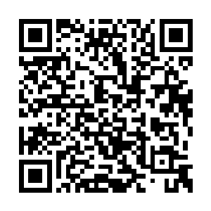 又见那举霞初期的强者在他手中就如同小鸡一般二维码生成