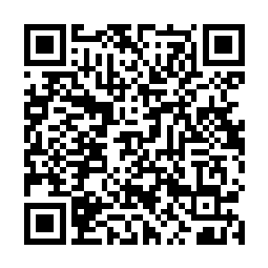 又见那青藤蠢蠢欲动……她最后冷冰冰地瞪了苏落一眼二维码生成