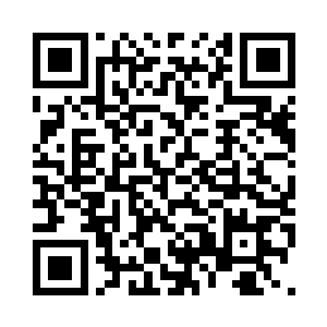 又让丫头捧了一盘子榆钱饼给罗姨娘二维码生成