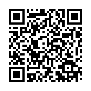 又让李娴帮忙去和那些外国人解释一下二维码生成