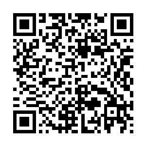 又转移视线求助于江子楠……少女再次收获了失望二维码生成