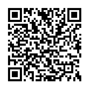 又都挤满了从顿涅斯克这样大城市逃出来的市民二维码生成