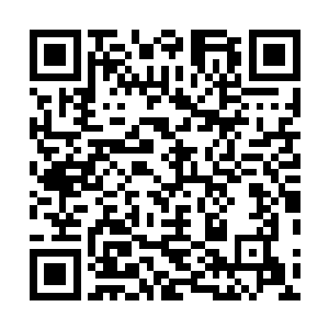 又都羡慕地看向那个小脸红扑扑欢喜抱着猫公仔的小女孩二维码生成