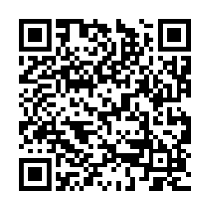 又钓了两条之后贝海才钓到了两条大小不一小鲭鱼二维码生成