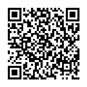 友山省长每次开会都在督促催逼我们要加快进度二维码生成