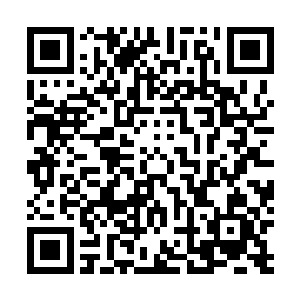 友情的背叛……楚门那满是疮痍的内心已经变得空洞不已二维码生成