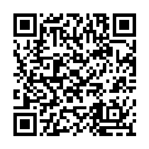 双刀狠狠地嵌入了妖神执行者脑袋的两侧几寸深二维码生成