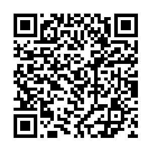 双双飞身落在院子里的吴真和吴明快步进入商会里面二维码生成