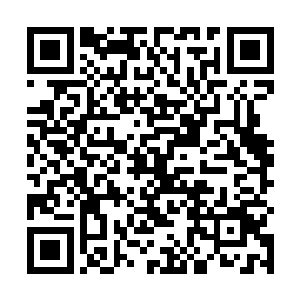 双头大张一下子就咬住了元辰夕身上的柳条朝嘴里吞去二维码生成