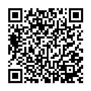 双头裂体兽从江帆腰际钻出飞到床上嗅失踪者的气息好有目标二维码生成