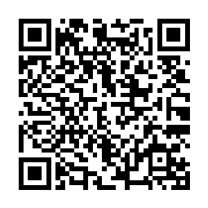 双头裂体兽见江帆忽然自言自语喜形于色有些莫名其妙二维码生成