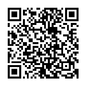 双子神那强悍的肉体和力量竟然都无法抵挡这血色猛虎的撕咬二维码生成