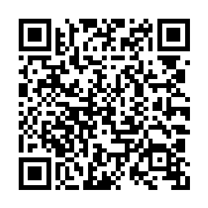 双峰今年招商引资从一开年就呈现出了火爆势头二维码生成