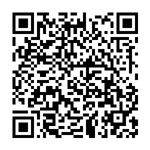 双手交叠抱着脑袋看着上空像萤火虫一样游离飘荡的淡淡蓝色荧光二维码生成