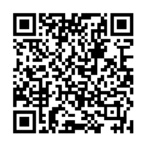 双手使劲地拍打着白长卿身上厚厚的冰块想要砸掉冰二维码生成