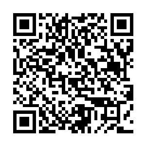 双手捧起那颗她曾经觉得恶心无比的蓝鳞虫胆囊高高举起来二维码生成