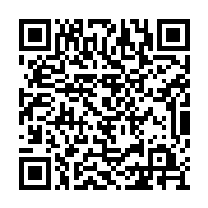 双方便已经在半空中翻来覆去地搏杀了百招以上二维码生成
