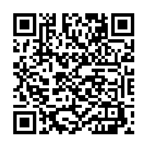 双方正在就关于遏制非洲极端主义问题方面展开会谈二维码生成