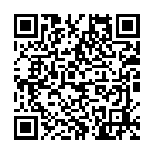 双方的晶脑都采用了十分先进的非接触式神念传输方式二维码生成