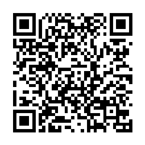 双方都想把钻石联盟的最高权力控制在自己的手里二维码生成