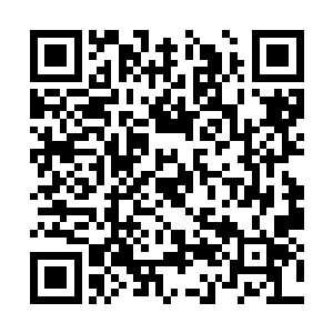 双方间的股份分配分别为百分之四十和百分之六十二维码生成