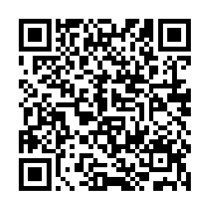 双生人女性犀利的进攻破开了伯格纳的所有防护法术二维码生成