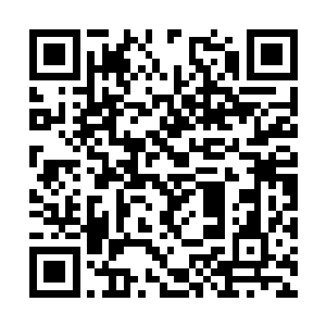 双目只管盯着吴美丽在桌上摆弄着一对的材料玩意二维码生成