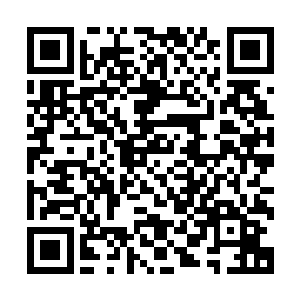 双目失焦的望向落地窗前阳光铺洒进来在地上形成的斑驳剪影二维码生成