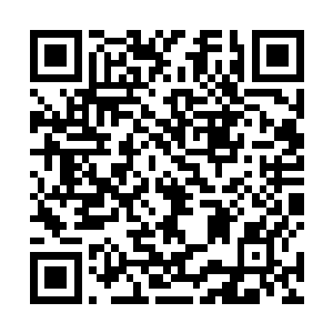 双目有些不敢置信地盯着那在大殿中间翩翩起舞的女子二维码生成