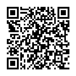 双目透过贵宾室的窗台死死盯着那玉桌上的水晶玉盒二维码生成