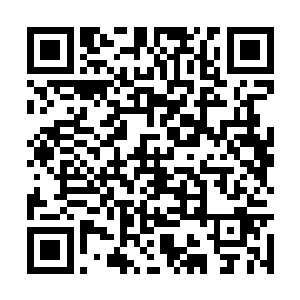 双眼亮的跟灯泡似的死死的盯着洪大力的四本秘籍二维码生成