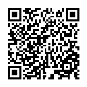 双眼充斥着恨怒的神色地盯着地下赌场出口的方向二维码生成