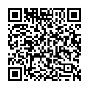 双眼呈蚊香状……他家落丫头的脑洞要塌了……二维码生成