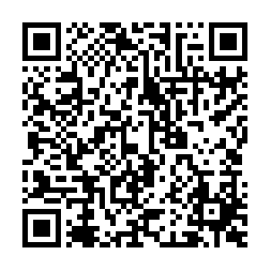 双眼布满血丝地在那一片红色的浓雾中寻找苏澈可能会残留下来的部分二维码生成