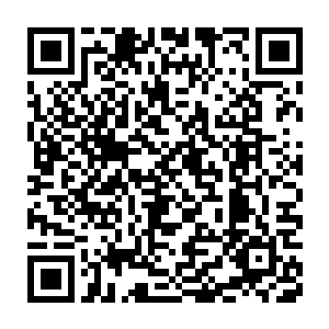 双眼直愣愣地看着不远处正爬上了滑梯口子处的小女孩着两只小辫子二维码生成