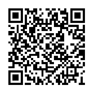 双胞胎只见那个让自己帮众倒戈的女人冲了过来二维码生成